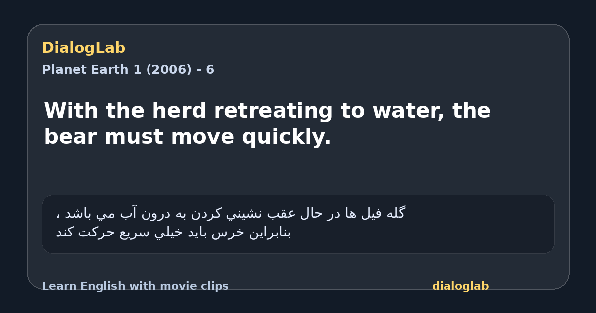 Share card for With the herd retreating to water, the bear must move quickly.