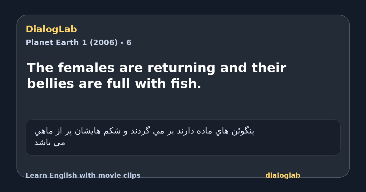 Share card for The females are returning and their bellies are full with fish.