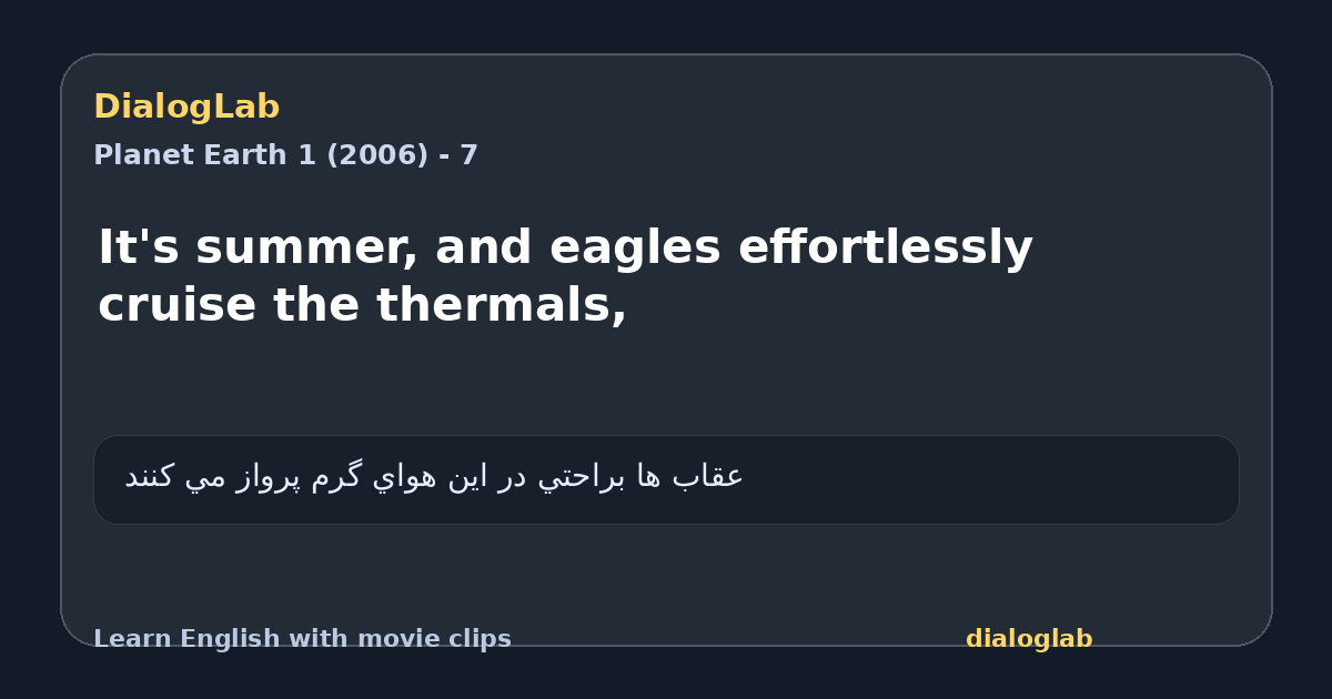 Share card for It's summer, and eagles effortlessly cruise the thermals,