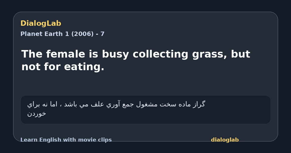 Share card for The female is busy collecting grass, but not for eating.