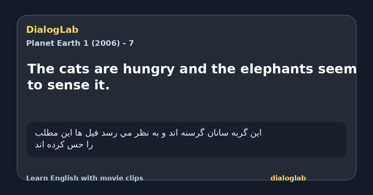 Share card for The cats are hungry and the elephants seem to sense it.