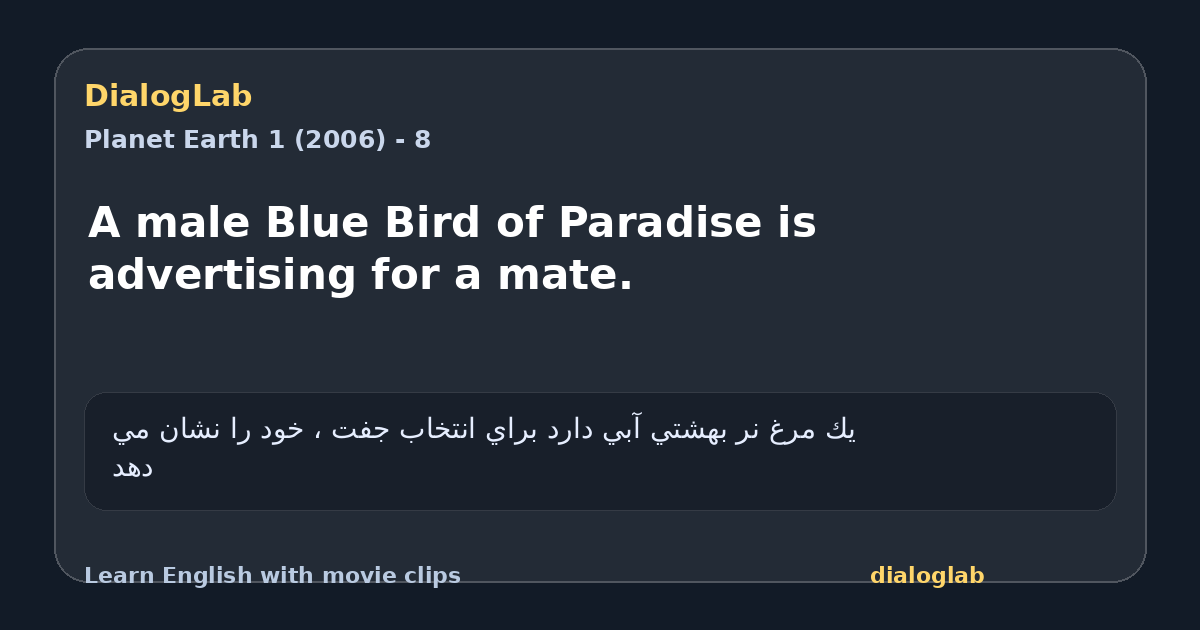 Share card for A male Blue Bird of Paradise is advertising for a mate.