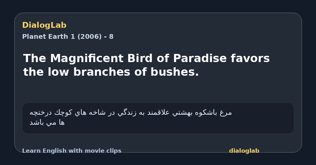 Share card for The Magnificent Bird of Paradise favors the low branches of bushes.