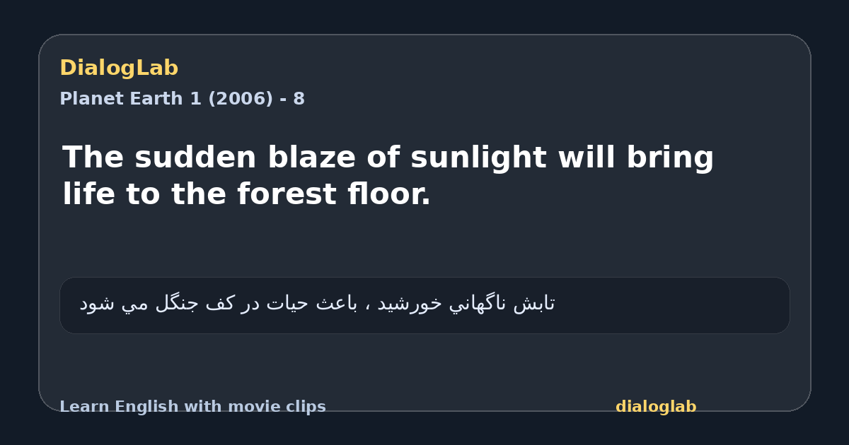 Share card for The sudden blaze of sunlight will bring life to the forest floor.