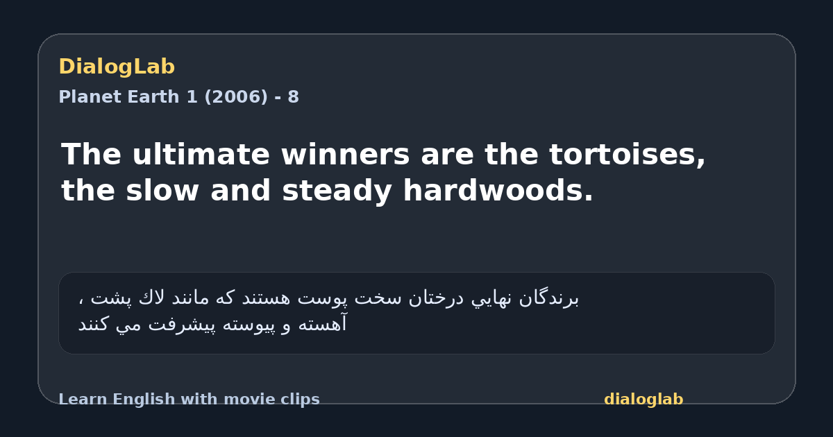 Share card for The ultimate winners are the tortoises, the slow and steady hardwoods.