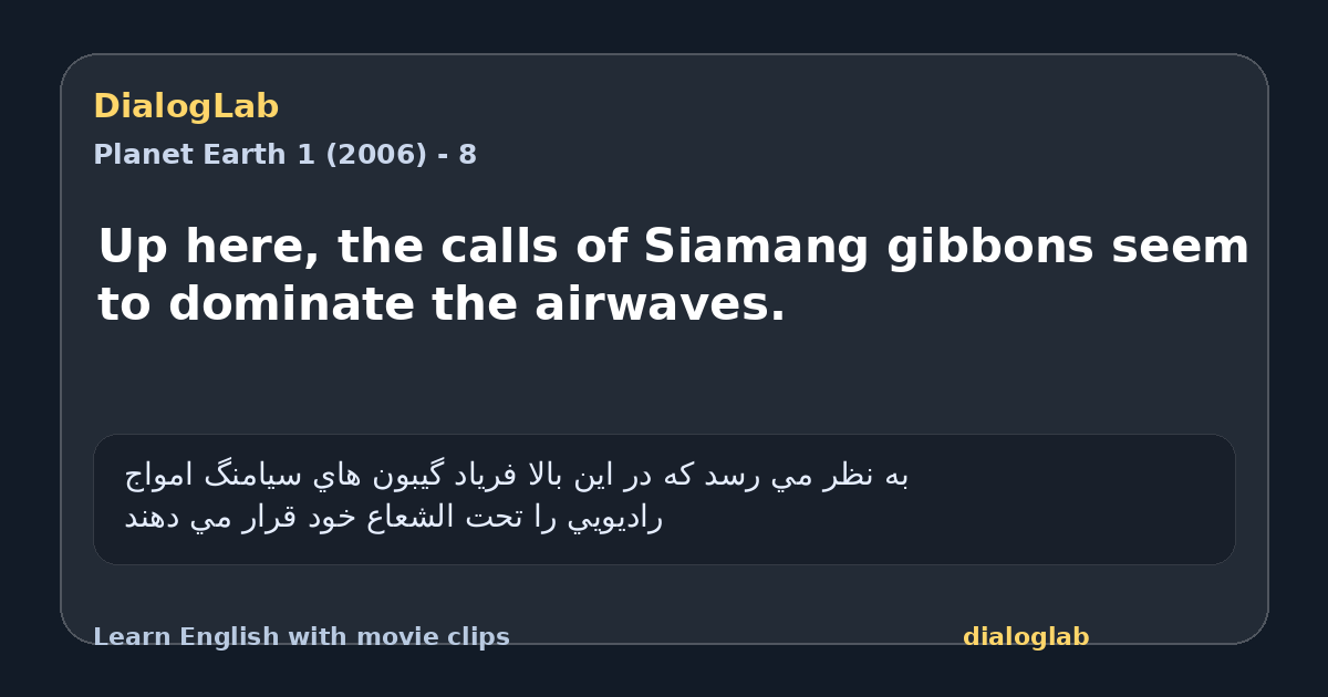 Share card for Up here, the calls of Siamang gibbons seem to dominate the airwaves.