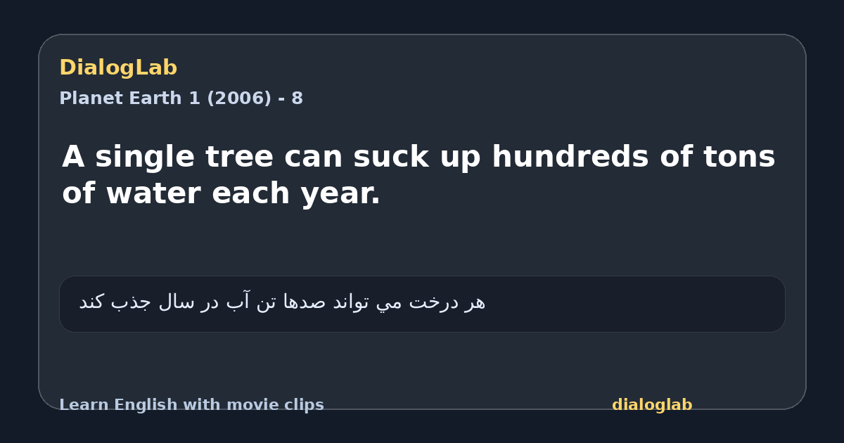 Share card for A single tree can suck up hundreds of tons of water each year.