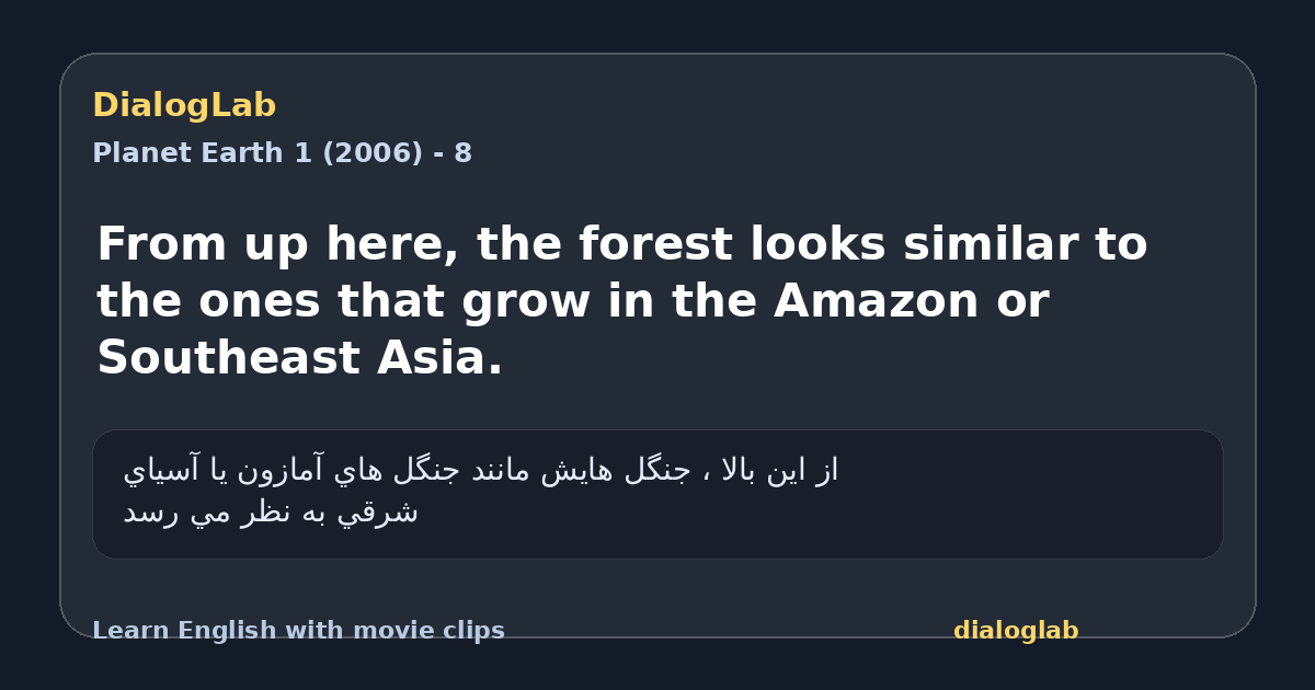 Share card for From up here, the forest looks similar to the ones that grow in the Amazon or Southeast Asia.