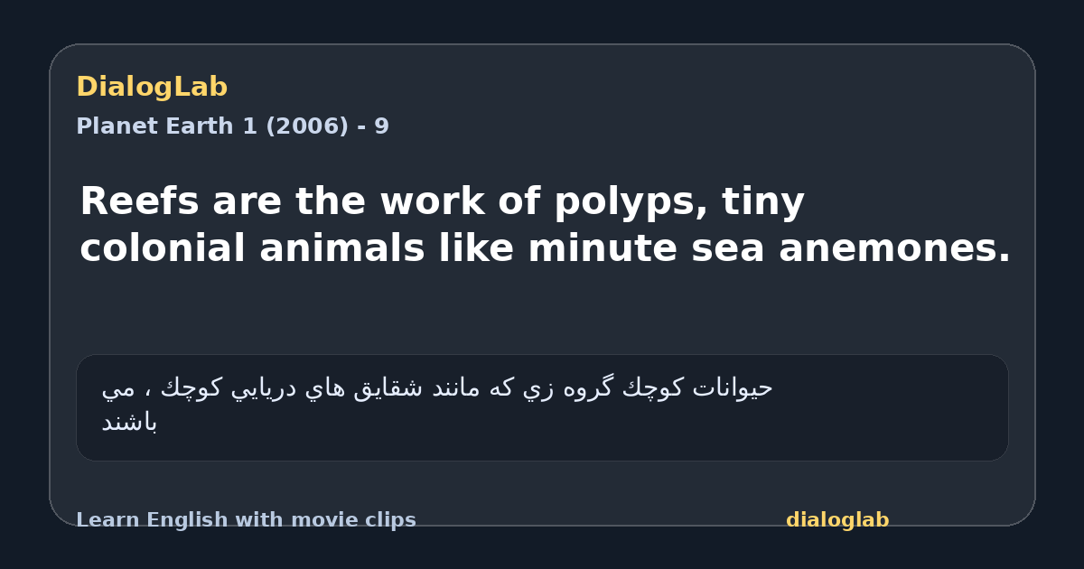 Share card for Reefs are the work of polyps, tiny colonial animals like minute sea anemones.