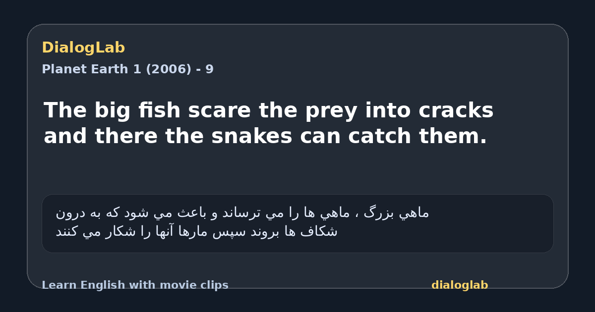 Share card for The big fish scare the prey into cracks and there the snakes can catch them.