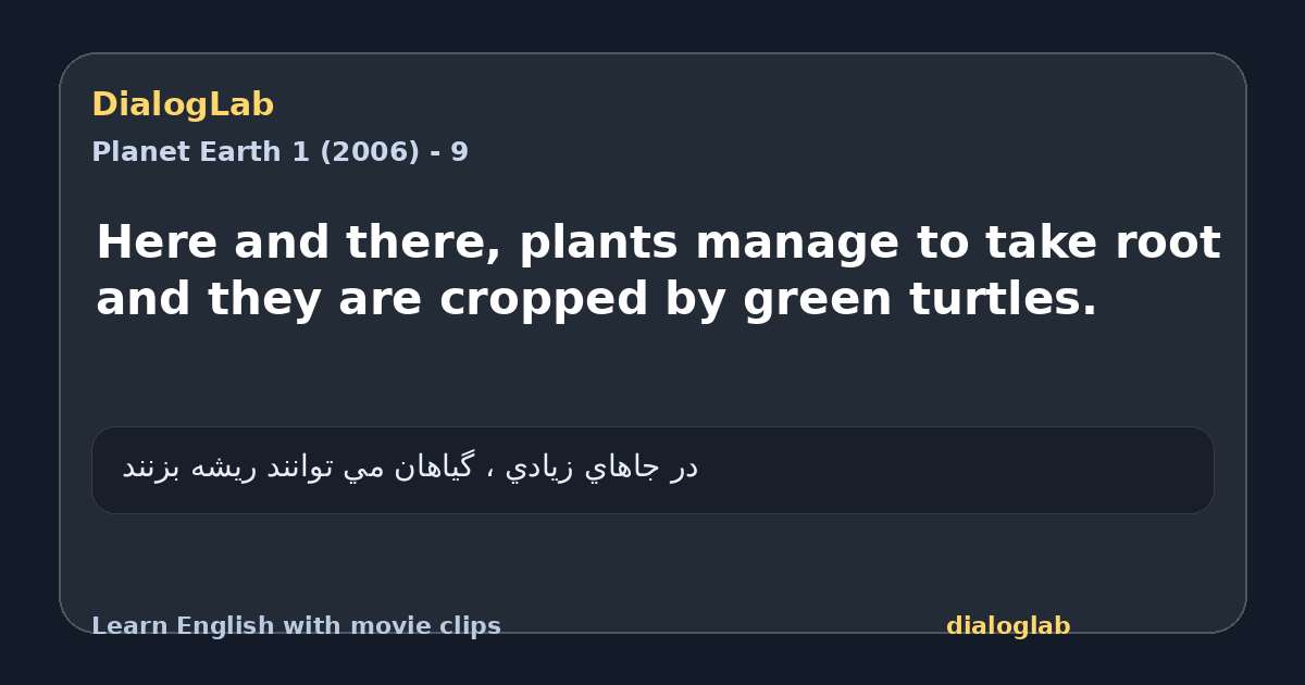 Share card for Here and there, plants manage to take root and they are cropped by green turtles.