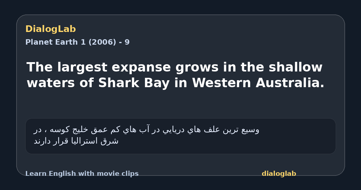 Share card for The largest expanse grows in the shallow waters of Shark Bay in Western Australia.