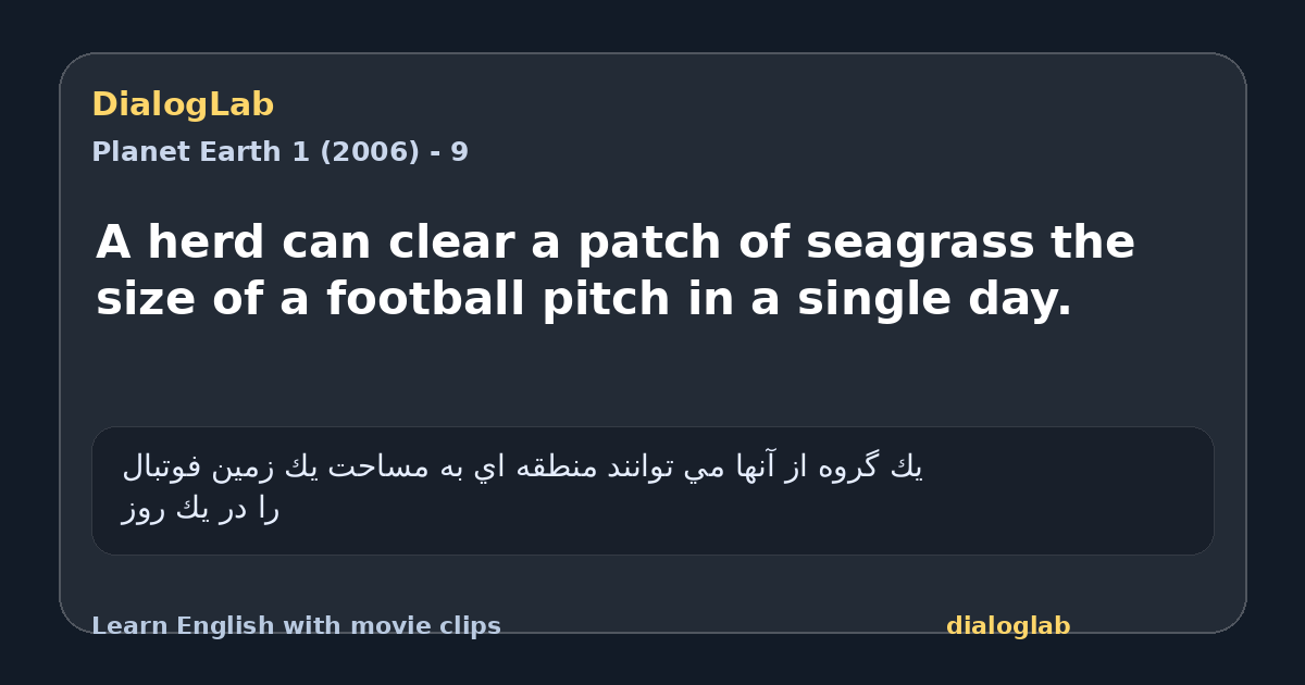 Share card for A herd can clear a patch of seagrass the size of a football pitch in a single day.
