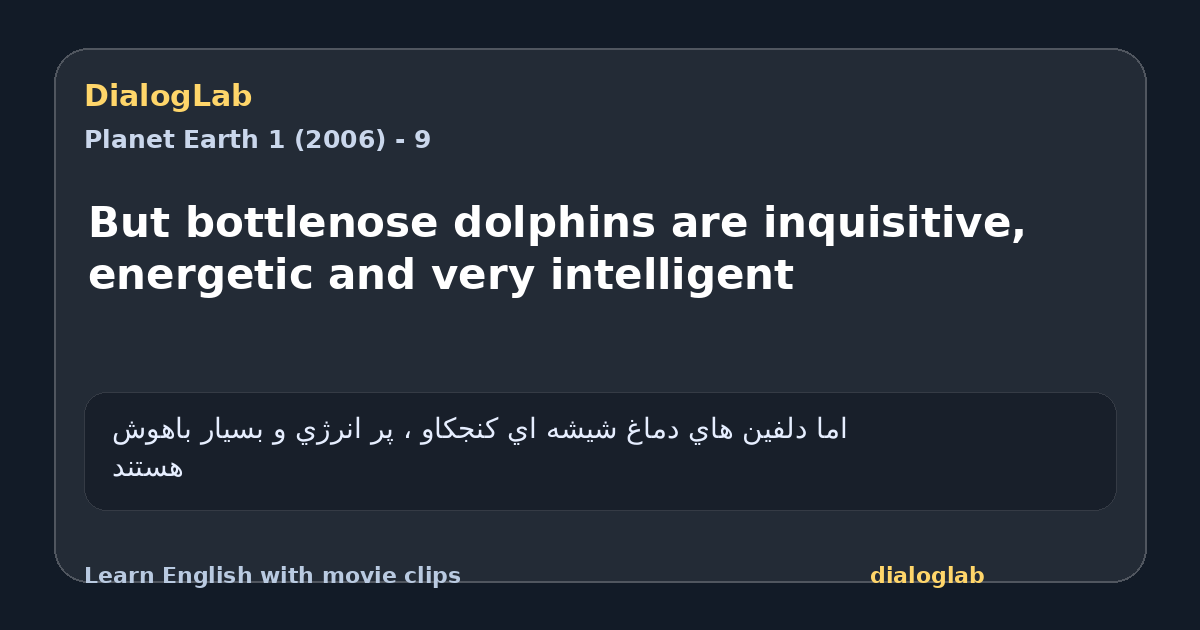 Share card for But bottlenose dolphins are inquisitive, energetic and very intelligent