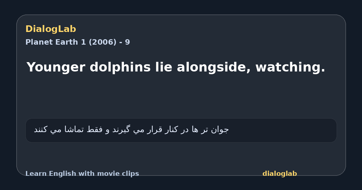 Share card for Younger dolphins lie alongside, watching.