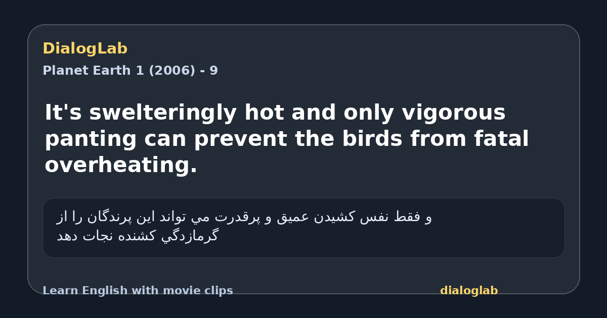 Share card for It's swelteringly hot and only vigorous panting can prevent the birds from fatal overheating.