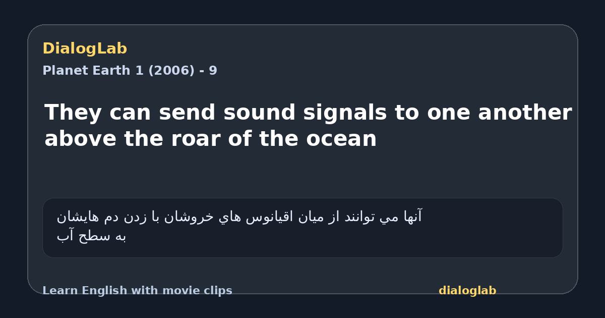 Share card for They can send sound signals to one another above the roar of the ocean