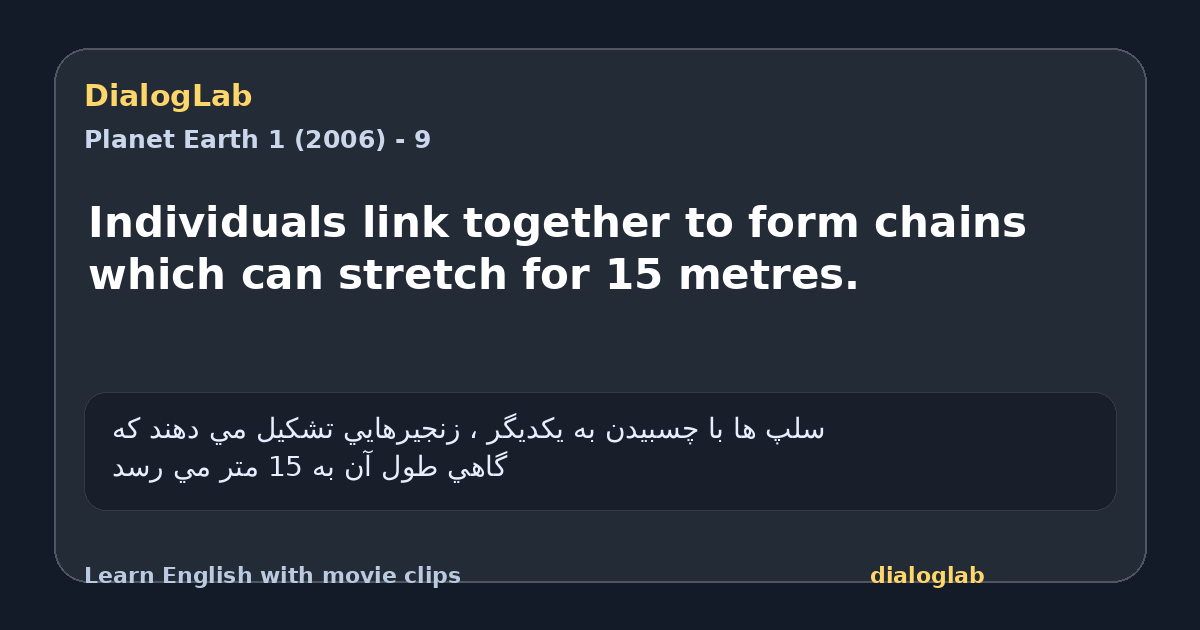 Share card for Individuals link together to form chains which can stretch for 15 metres.