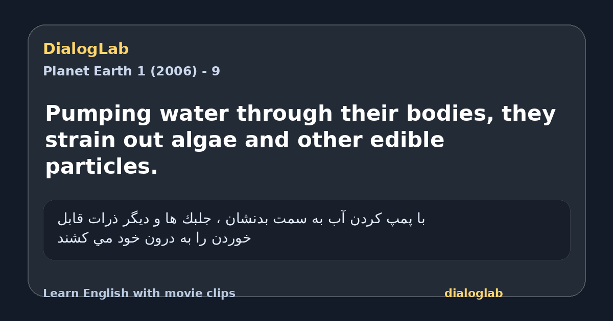 Share card for Pumping water through their bodies, they strain out algae and other edible particles.