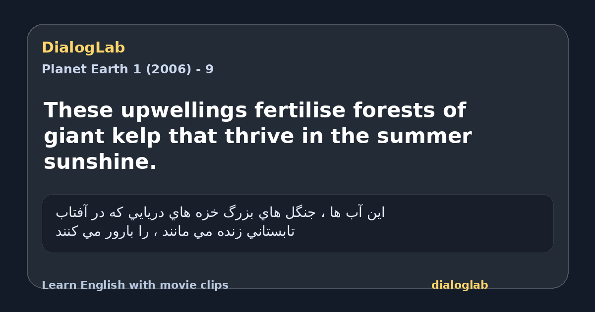 Share card for These upwellings fertilise forests of giant kelp that thrive in the summer sunshine.