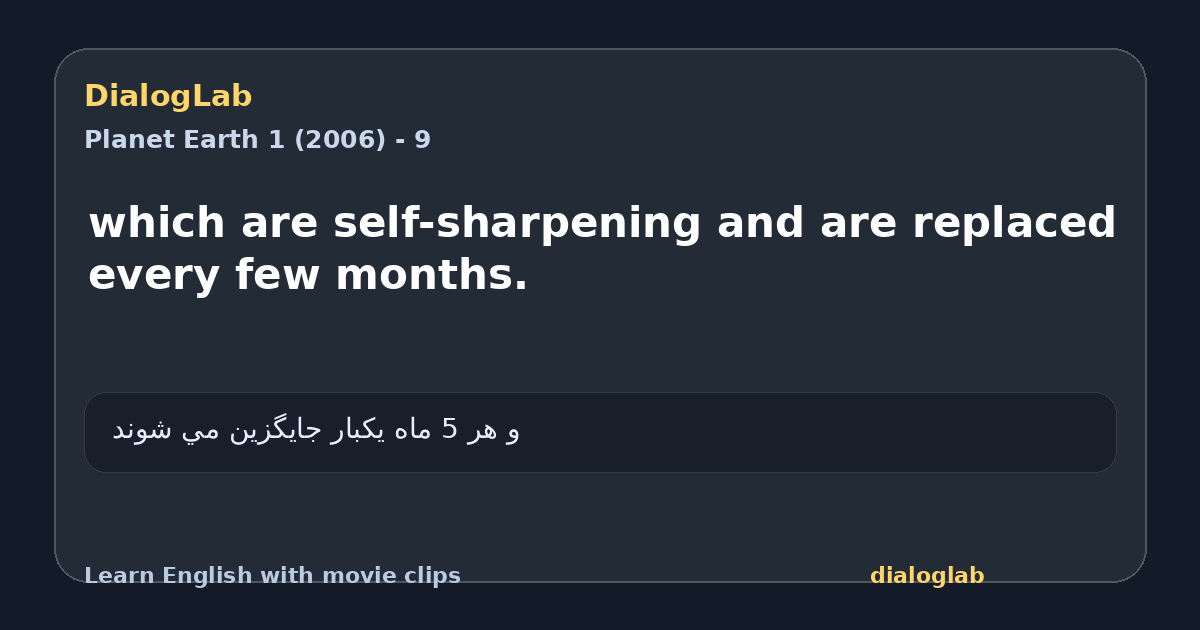 Share card for which are self-sharpening and are replaced every few months.