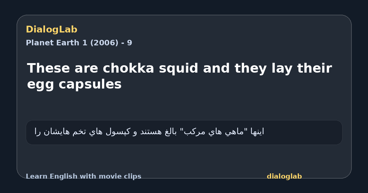 Share card for These are chokka squid and they lay their egg capsules