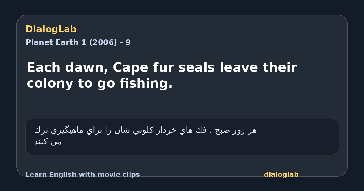 Share card for Each dawn, Cape fur seals leave their colony to go fishing.