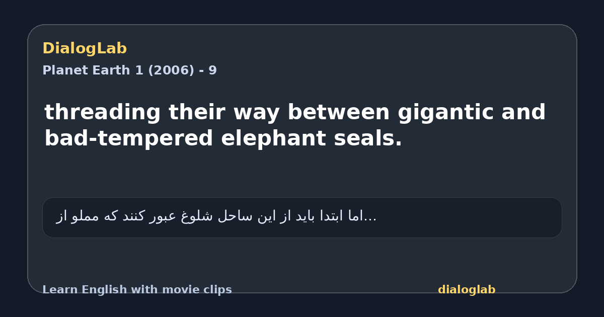 Share card for threading their way between gigantic and bad-tempered elephant seals.