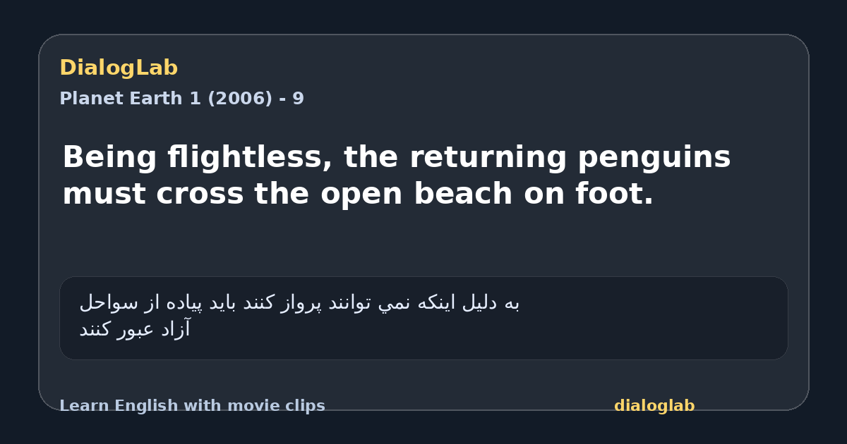 Share card for Being flightless, the returning penguins must cross the open beach on foot.