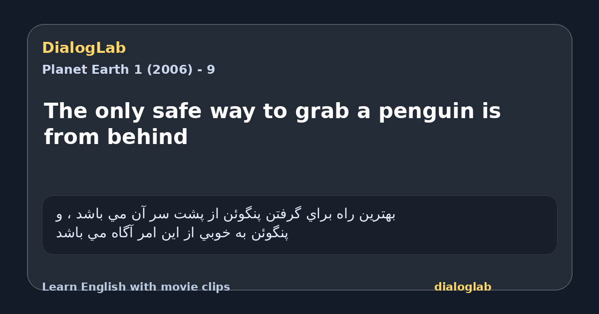 Share card for The only safe way to grab a penguin is from behind