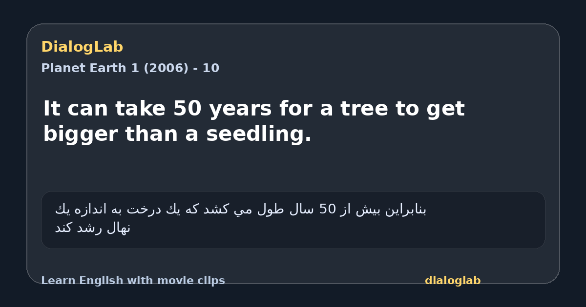 Share card for It can take 50 years for a tree to get bigger than a seedling.