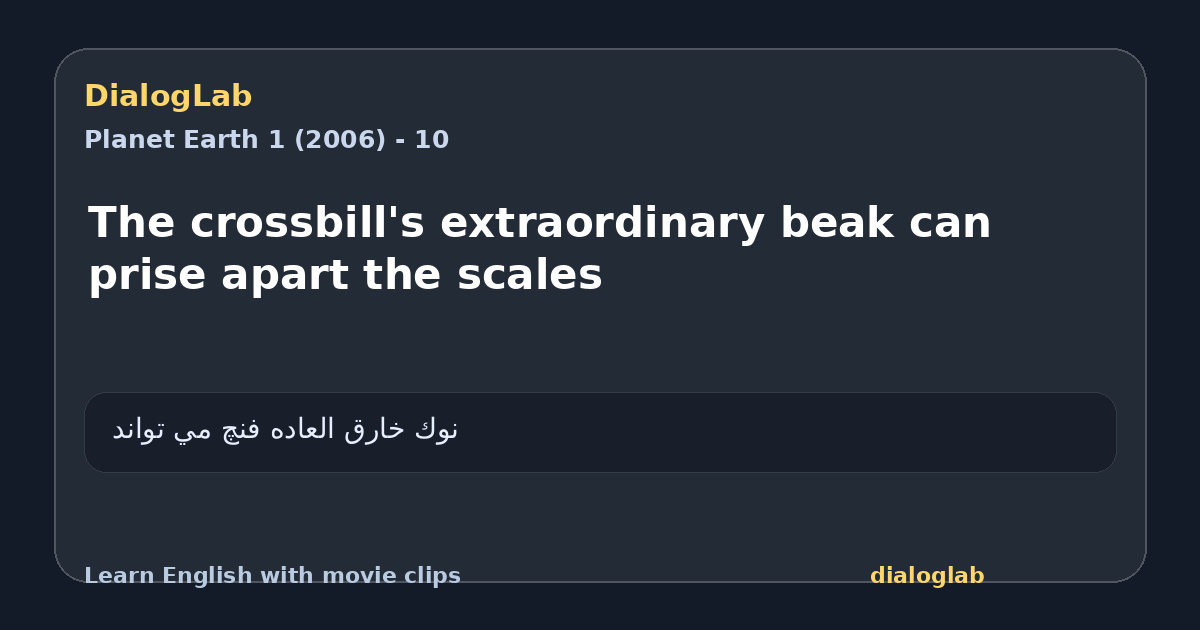 Share card for The crossbill's extraordinary beak can prise apart the scales