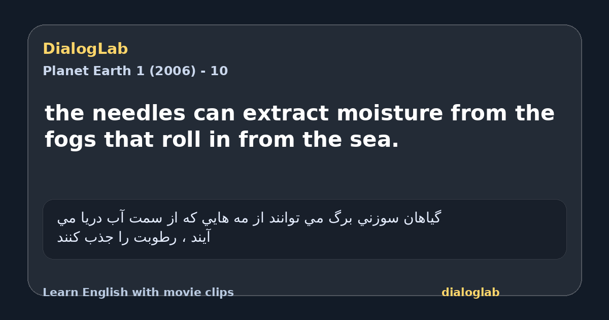 Share card for the needles can extract moisture from the fogs that roll in from the sea.