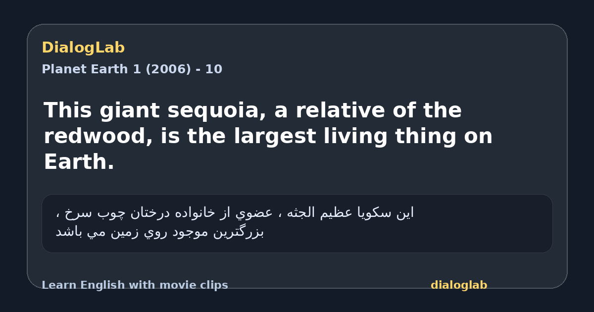 Share card for This giant sequoia, a relative of the redwood, is the largest living thing on Earth.