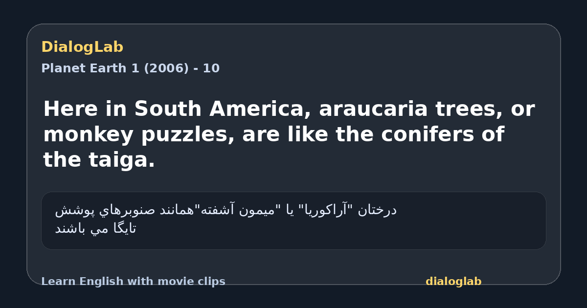 Share card for Here in South America, araucaria trees, or monkey puzzles, are like the conifers of the taiga.