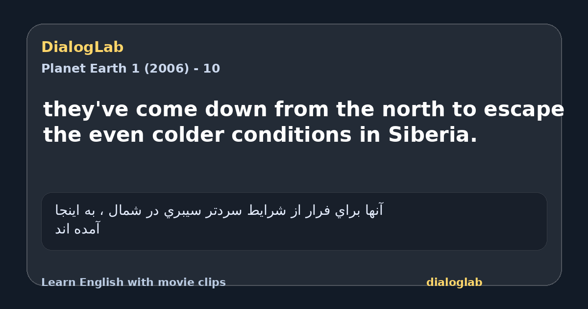 Share card for they've come down from the north to escape the even colder conditions in Siberia.