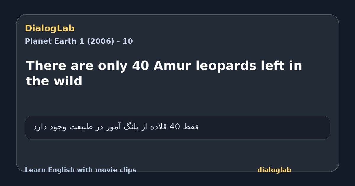 Share card for There are only 40 Amur leopards left in the wild