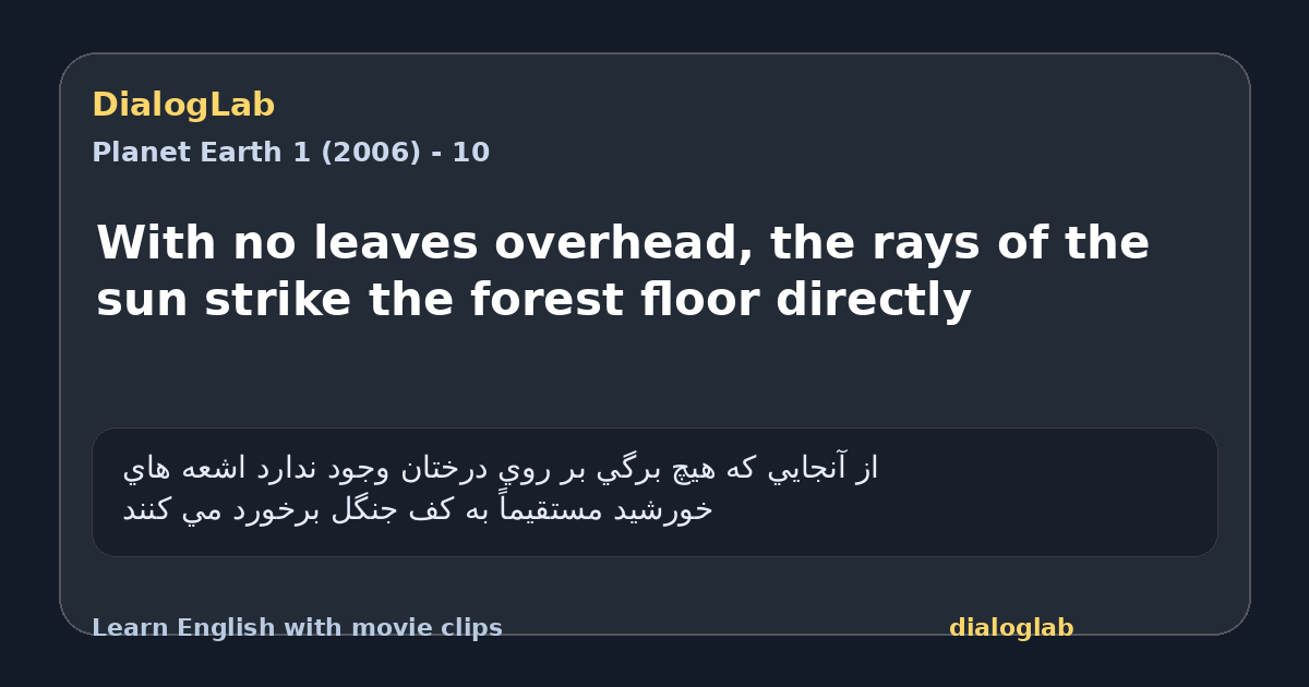 Share card for With no leaves overhead, the rays of the sun strike the forest floor directly