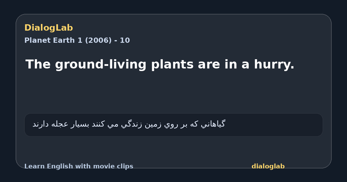Share card for The ground-living plants are in a hurry.