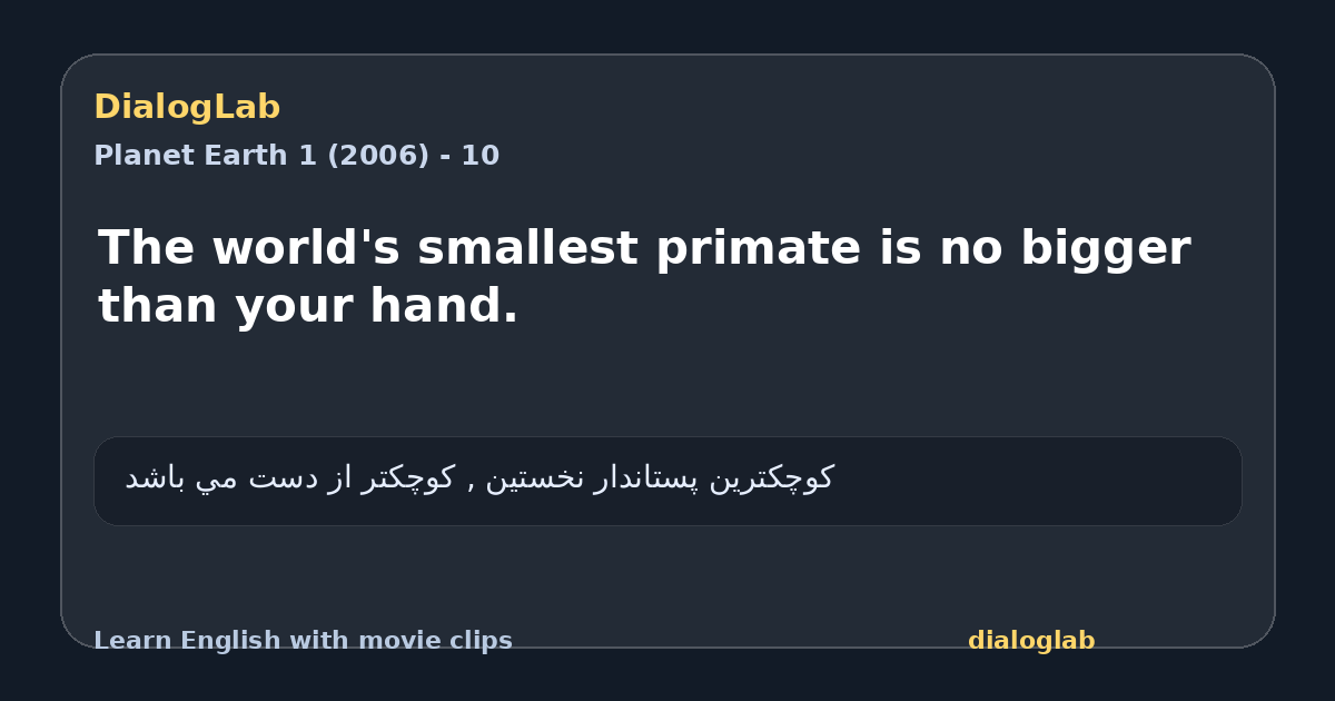 Share card for The world's smallest primate is no bigger than your hand.