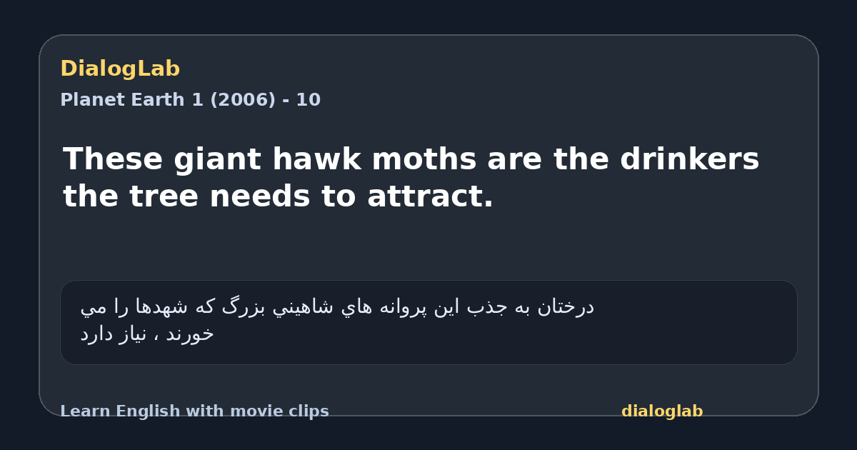Share card for These giant hawk moths are the drinkers the tree needs to attract.