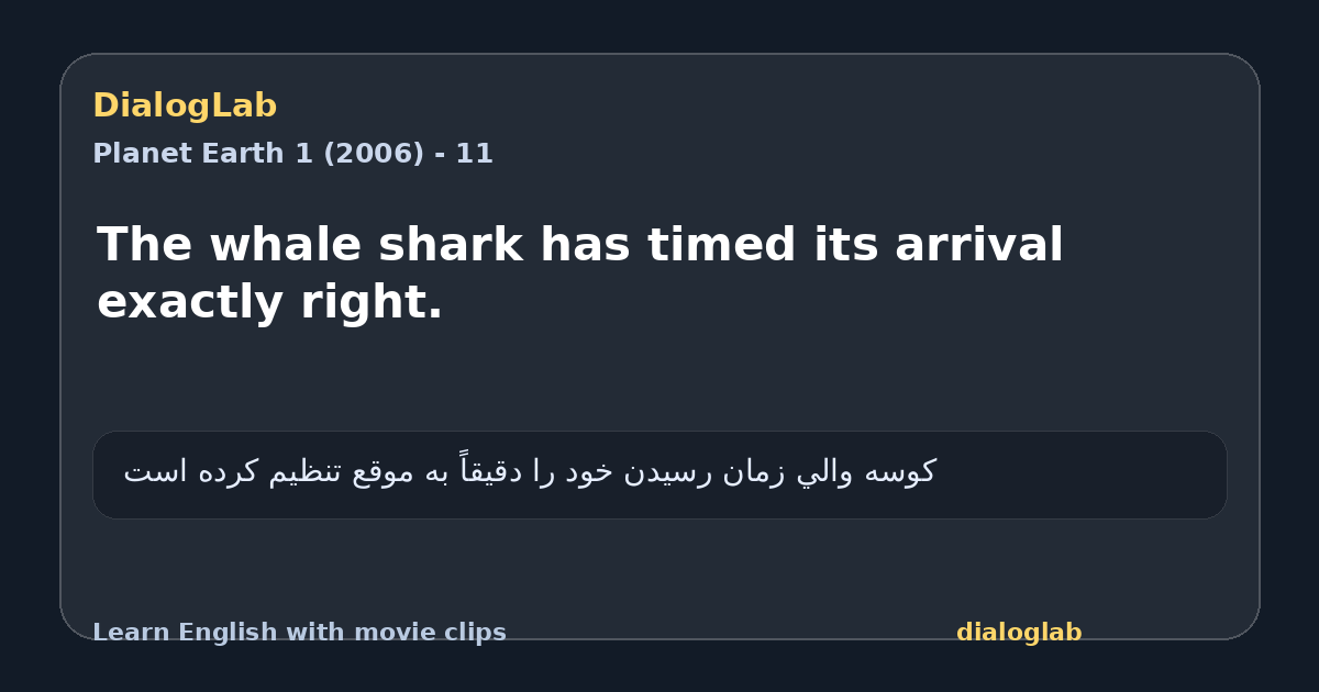 Share card for The whale shark has timed its arrival exactly right.