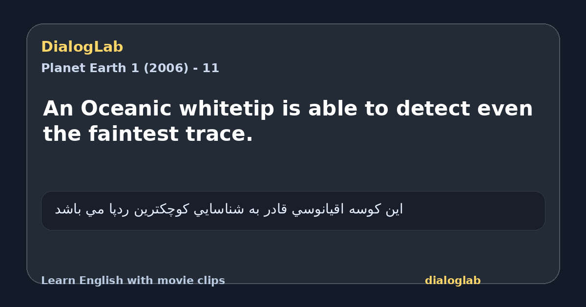 Share card for An Oceanic whitetip is able to detect even the faintest trace.