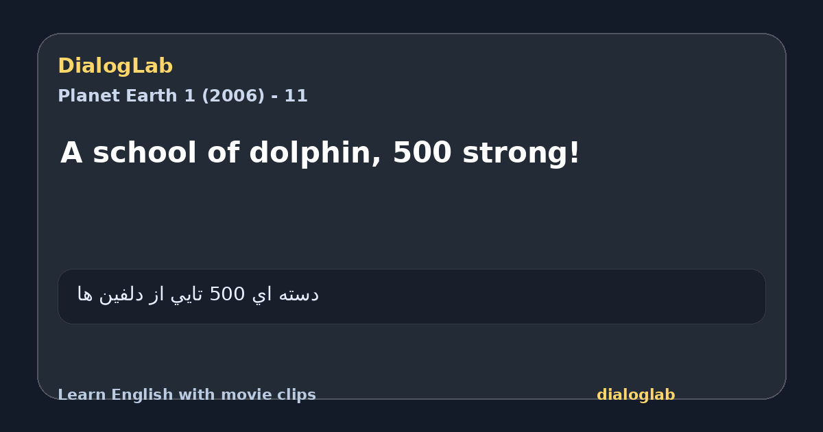 Share card for A school of dolphin, 500 strong!