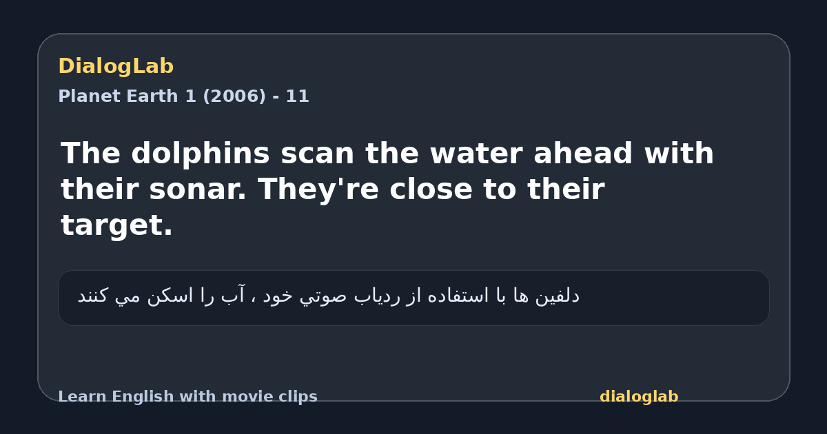 Share card for The dolphins scan the water ahead with their sonar. They're close to their target.