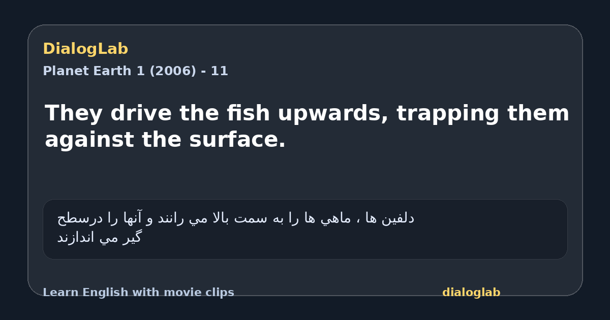 Share card for They drive the fish upwards, trapping them against the surface.