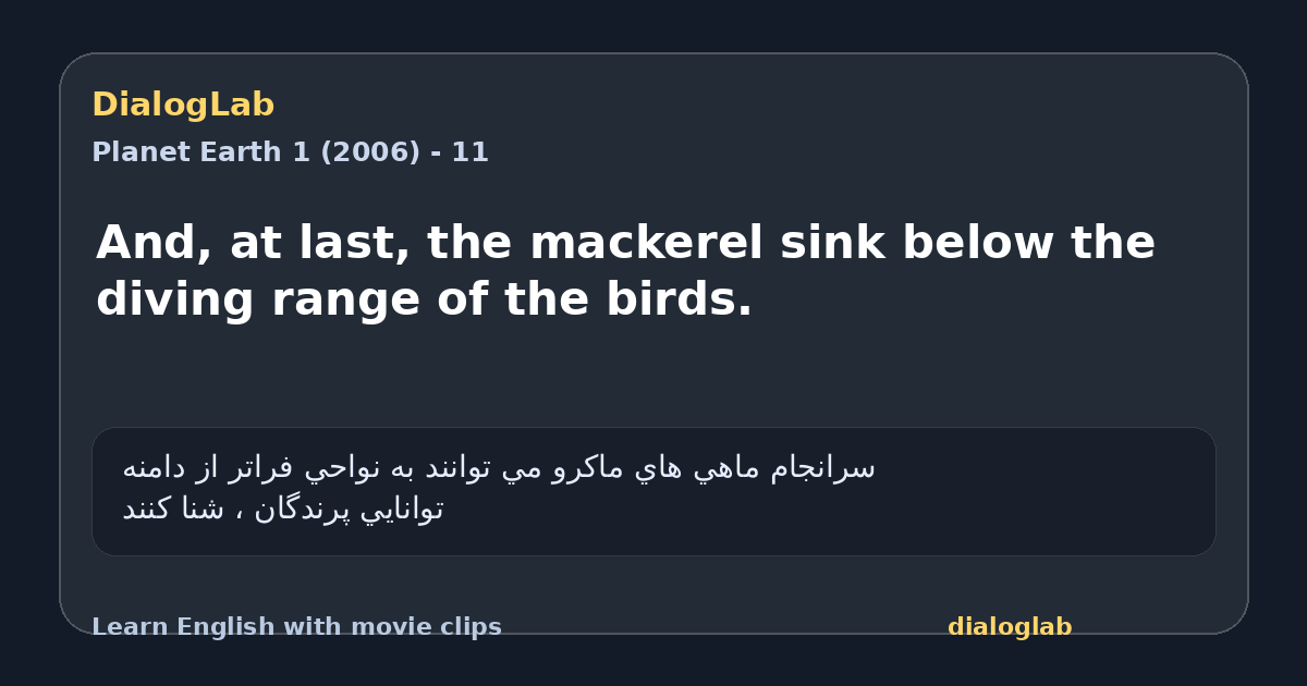 Share card for And, at last, the mackerel sink below the diving range of the birds.