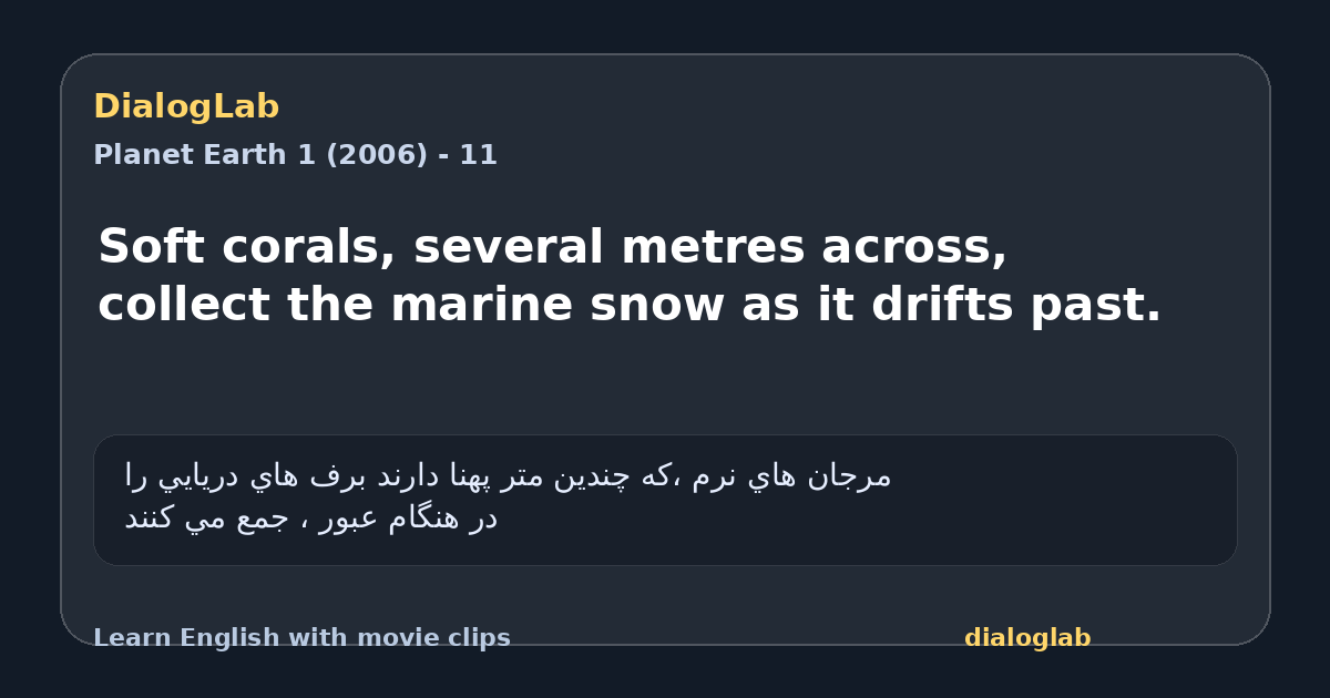Share card for Soft corals, several metres across, collect the marine snow as it drifts past.