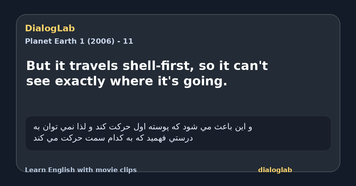Share card for But it travels shell-first, so it can't see exactly where it's going.