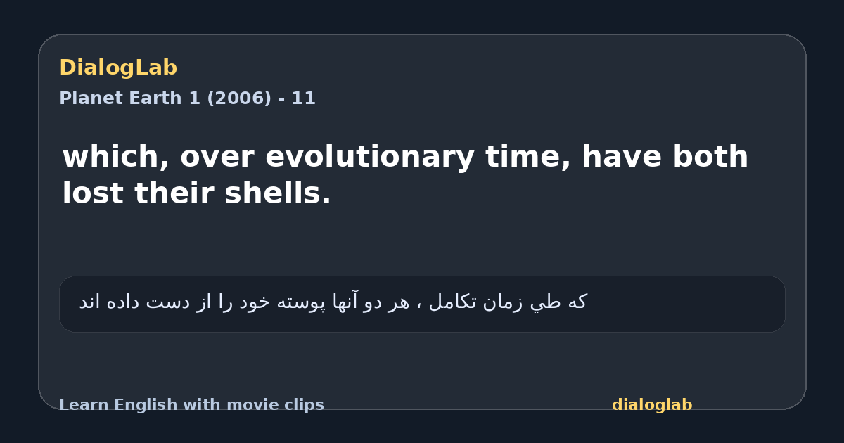 Share card for which, over evolutionary time, have both lost their shells.